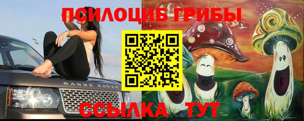 Псилоцибиновые грибы MAGIC MUSHROOMS Орёл