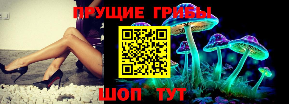 Галлюциногенные грибы мицелий  Вход с VPN  Орёл 